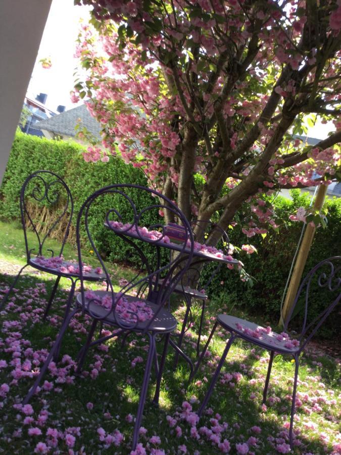 B&B Superieur Villa Vanille Namur Zewnętrze zdjęcie